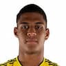 Player Image