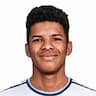 Player Image