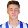 Player Image