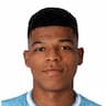 Player Image