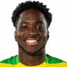 Player Image