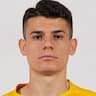 Player Image