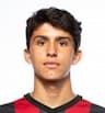 Player Image