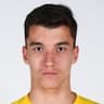 Player Image
