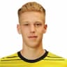 Player Image