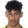 Player Image