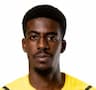 Player Image
