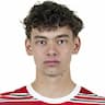 Player Image