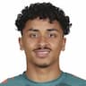 Player Image