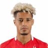 Player Image