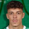 Player Image