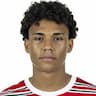 Player Image