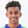Player Image