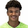 Player Image