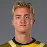 Player Image