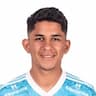Player Image