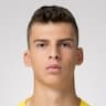 Player Image