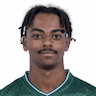 Player Image