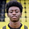 Player Image
