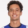 Player Image
