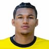 Player Image