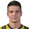 Player Image