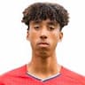 Player Image