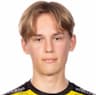 Player Image