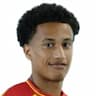Player Image