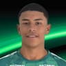 Player Image