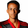 Player Image