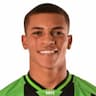 Player Image