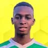 Player Image