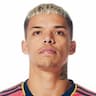 Player Image