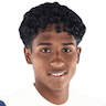 Player Image