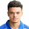 Player Image