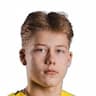 Player Image