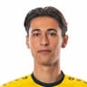 Player Image