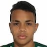 Player Image