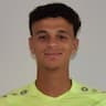 Player Image