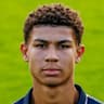 Player Image
