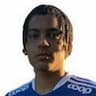 Player Image