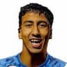 Player Image