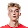 Player Image