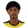 Player Image