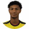 Player Image