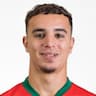 Player Image
