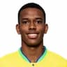 Player Image