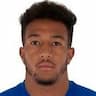 Player Image