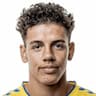 Player Image